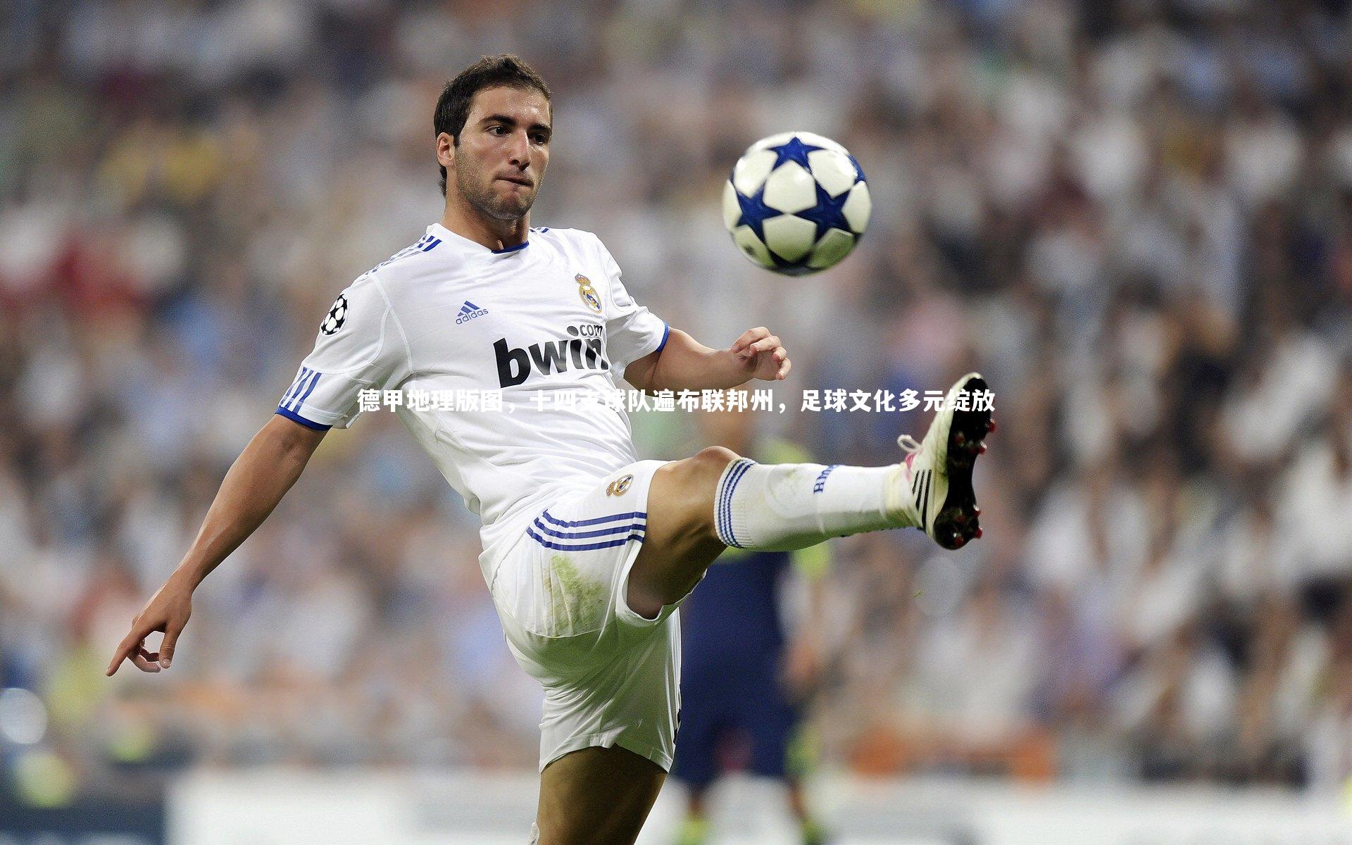 开云体育官网：德甲地理版图，十四支球队遍布联邦州，足球文化多元绽放