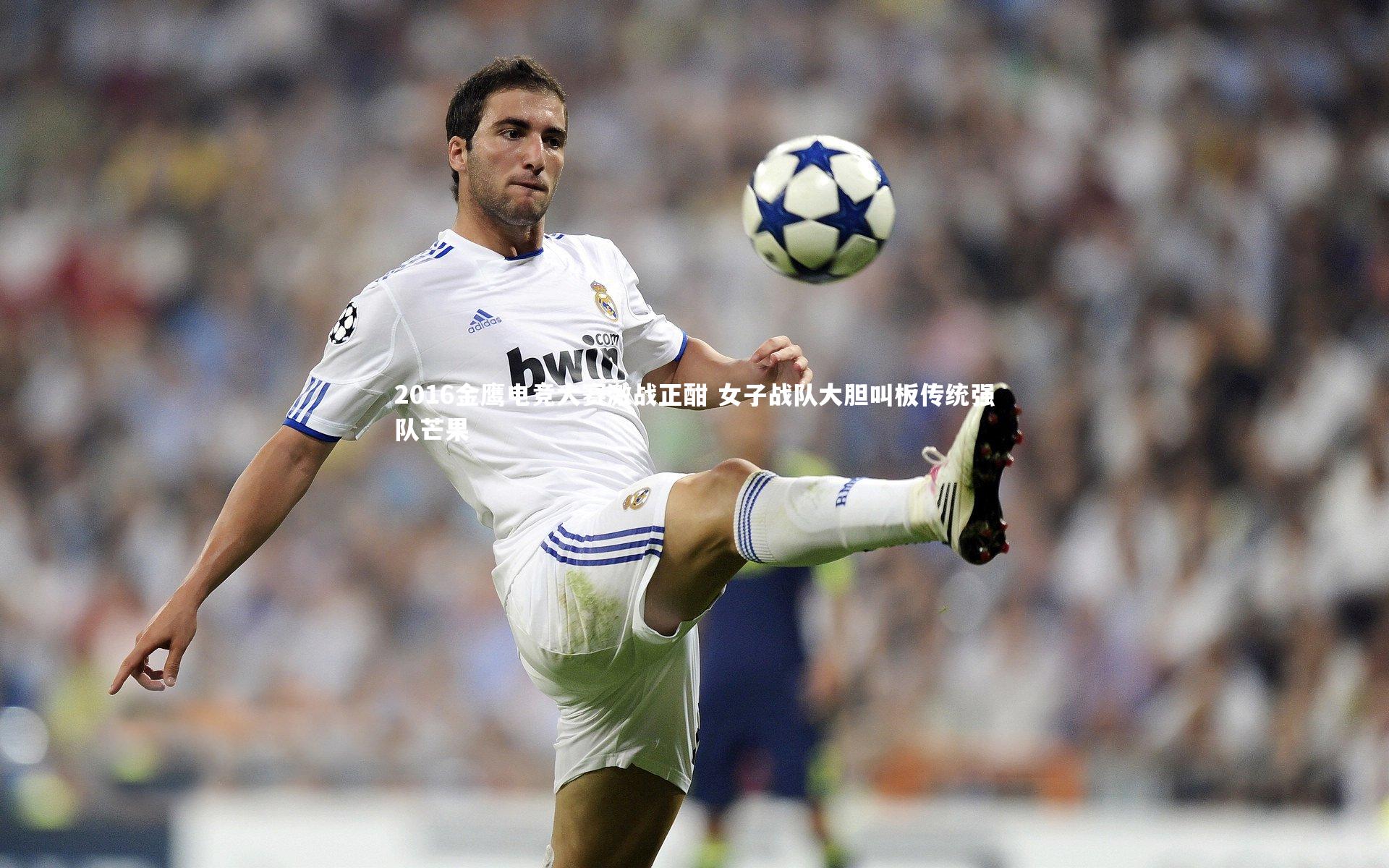 2016金鹰电竞大赛激战正酣 女子战队大胆叫板传统强队芒果